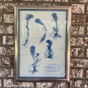 Blue and White Modern Classic Botanical Flower Framed Wall Art Owl’s Clover